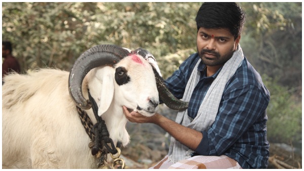 Tagaru Palya World Digital Premiere on amazon prime video Streaming From December 8 