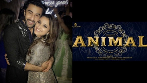 Rashmika Mandanna Was Not The First Choice for the Animal Movie who is that Bollywood actress?