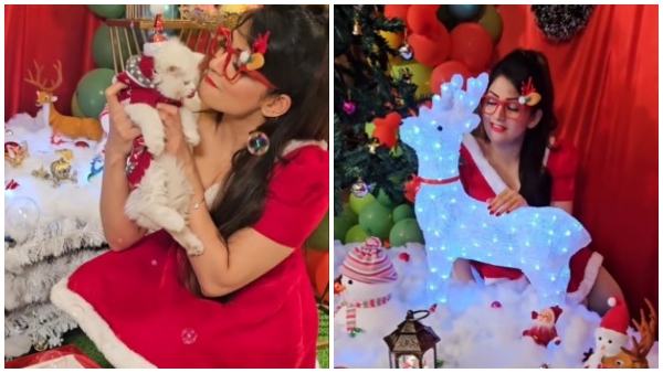Radhika Kumaraswamys christmas celebration video goes viral 