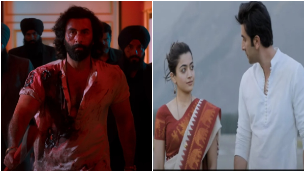 Rashmika Mandanna Was Not The First Choice for the Animal Movie who is that Bollywood actress?