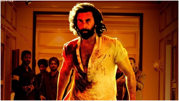 Animal Co-producer moves Delhi HC demanding stay on ott streaming Animal Co-producer moves Delhi HC demanding stay on ott streaming