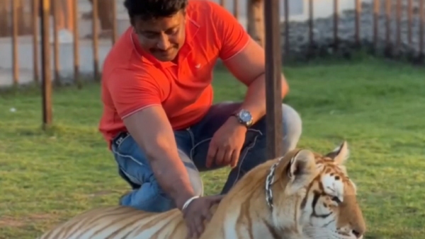 darshan in Dubai Zoo