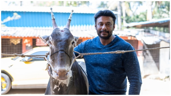 Kaatera Darshan Asks fans to not spend money on cakes, banners ahead of his birthday 