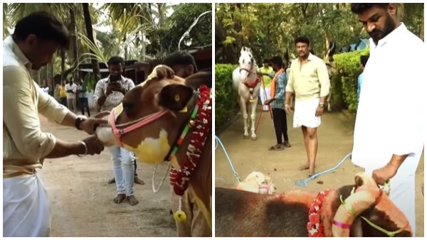 Kaatera actor Darshans farmhouse Sankranti Celebration highlights 