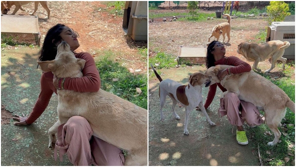 Actress Sangeetha Sringeri meets Charlie 777 fames dog Charlie! Actress Sangeetha Sringeri meets Charlie 777 fames dog Charlie!