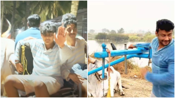 Devil actor Darshan Riding Bullock Cart in His farm house and night out with friends Devil actor Darshan Riding Bullock Cart in His farm house and night out with friends