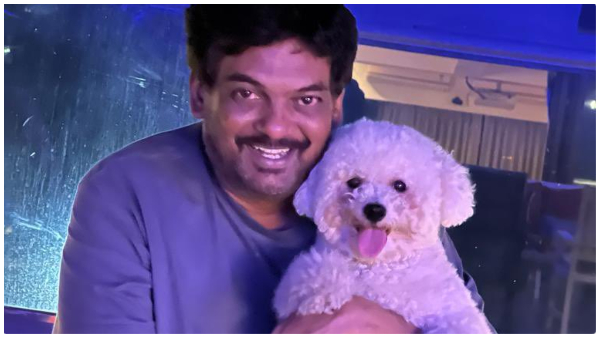 Puri Jagannadh shocking comments on fans who misbehave with actor and actresses