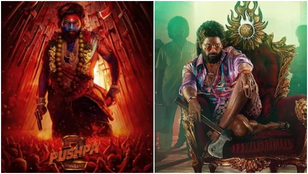 Allu Arjun Pushpa 2 movie has big demand sold satellite rights