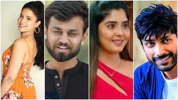 What is the opinion of Kannada movie celebrities after watching Avatara Purusha 2