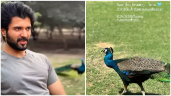 Rashmika Mandanna celebrating her Birthday with Vijay Deverakonda in Abu Dhabi here is proof