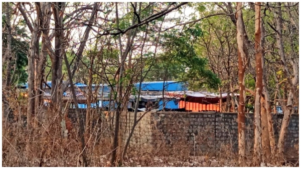 Reason behind Yash starrer Toxic movie shoot begins in Karnataka Reason behind Yash starrer Toxic movie shoot begins in Karnataka