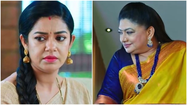 amruthadhaare-serial-11-may-episode-written-update
