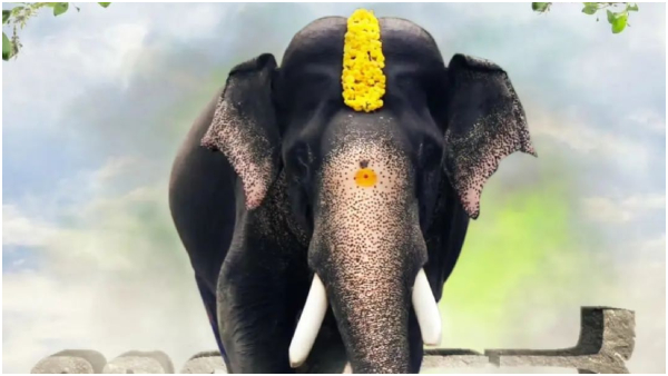 Actor Darshan joins hands with fans to protect Arjuna elephant samadhi grave tomb