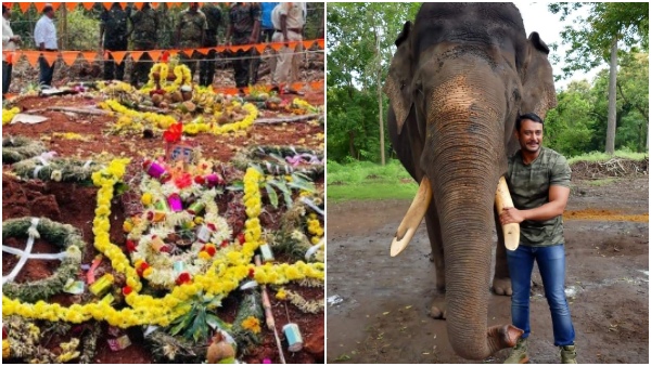 Kannada actor Darshan upset with Arjuna Elephant Burial controversy