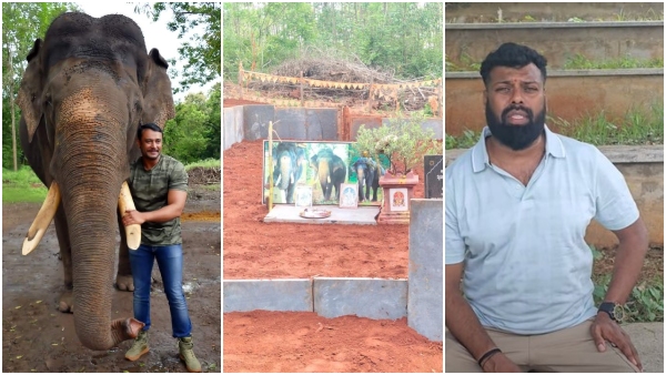 Arjuna Elephant Burial issue actor Darshan s Friend Clarification over Forest Department Allegation