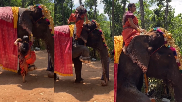 Actress Divya Uruduga s Climb an Elephant Like a Princess video went viral