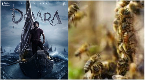jr Ntr Devara movie team twenty members hospitalized due to honeybees attack