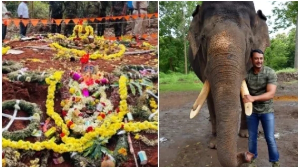 Arjun Memorial Elephant Controversy Naveen says that he didn t contact Darshan and his fans