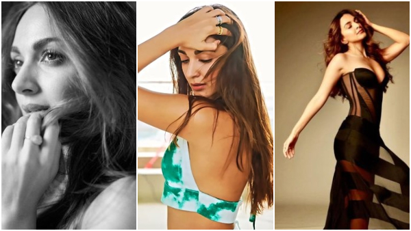 Stray Dog Follows this bollywood actress in airport