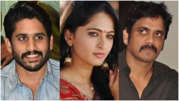 Tollywood star Nagarjuna Akkineni gave clarity about affair with anushka shetty
