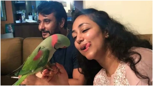 Will Vijayalakshmi give Divorce to husband actor Darshan