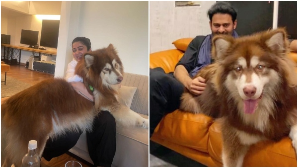 actress producer Charmy Kaur shares adorable photos with her big pet dog