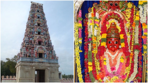 dasarighatta-chowdeshwari-devi-predictions-about-actor-darshan-who-is-accused-in-renukaswamy-case dasarighatta-chowdeshwari-devi-predictions-about-actor-darshan-who-is-accused-in-renukaswamy-case