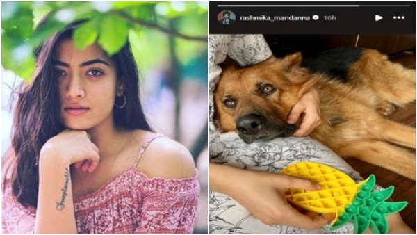 Rashmika mandanna s mourns death of her pet dog Rashmika mandanna s mourns death of her pet dog