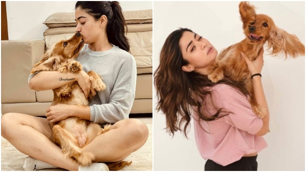 Rashmika mandanna s mourns death of her pet dog Rashmika mandanna s mourns death of her pet dog