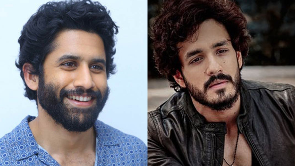 What is the share of Naga Chaitanya in the property worth 3654 crore rupees with Nagarjuna