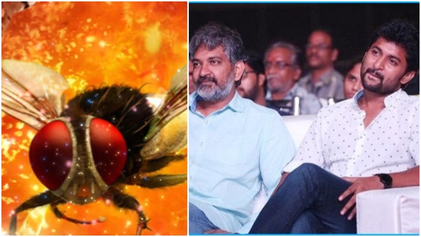 Telugu actor Nani makes interesting comments about working in Eega sequel