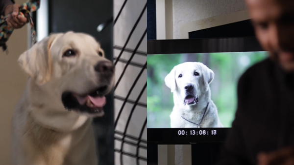 Dog Simba dubbing for Naanu Mattu Gunda 2 movie which Rakesh Adiga in Main roles