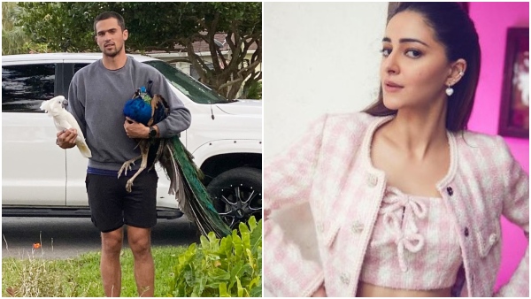 did-this-bollywood-actress-fell-in-love-with-ambanis-employee-walker-blanco did-this-bollywood-actress-fell-in-love-with-ambanis-employee-walker-blanco