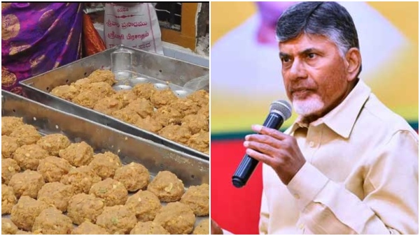 Tirupati Laddu Controversy This is unimaginable to Sri Venkateswara bhaktas says Pranitha Subhash