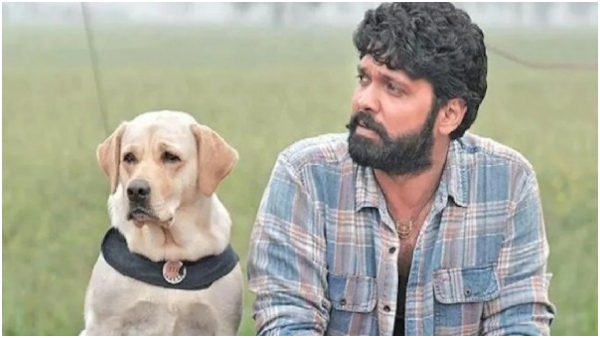 Bigg Boss 18 Donkey named Max entered to BB house