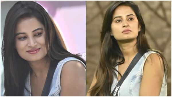 written-update-on-bigg-boss-season-11-top-contestants