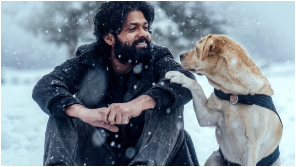 director Kiranraj reveals Rakshit Shetty s 777 Charlie film budget business director Kiranraj reveals Rakshit Shetty s 777 Charlie film budget business