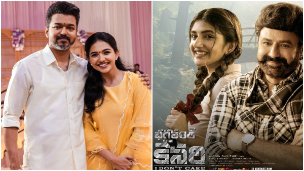 Is Vijay starrer Thalapathy 69 remake of this telugu film