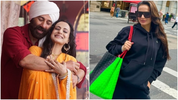 Ameesha Patel Slams Gadar 2 Director Won t Play Mother-In-Law Even for Rs 100 Cr