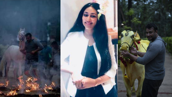 Darshan planning to celebrate Makar Sankranti in his farm house with wife Vijayalakshmi and family