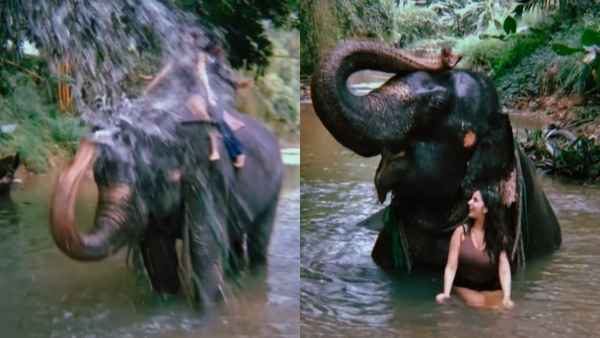 Bigg Boss fame Niveditha Gowda and her mother gave bath to Elephant in Srilanka Bigg Boss fame Niveditha Gowda and her mother gave bath to Elephant in Srilanka