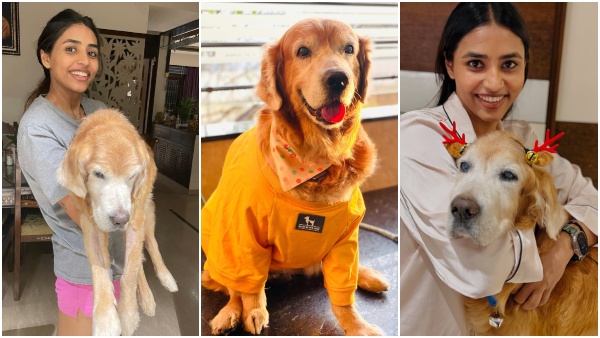 Sapthami Gowda posts an emotional tribute following the death of her pet dog Simba Gundu