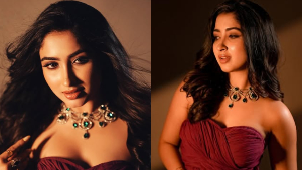 Bigg Boss fame Sanya Iyer talks about her mother struggle and father