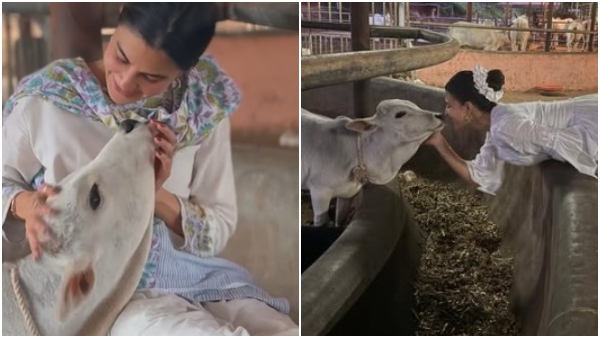 Star Heroine Visits Art of Living Ashram for Inner Peace