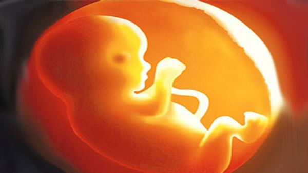 Bhavana Ramanna Opts for IVF to Embrace Motherhood Without Marriage Breaks Stereotypes