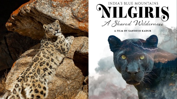 Sandesh Kadur s Nilgiris - A shared wilderness Documentary film coming to theatres on July 18th