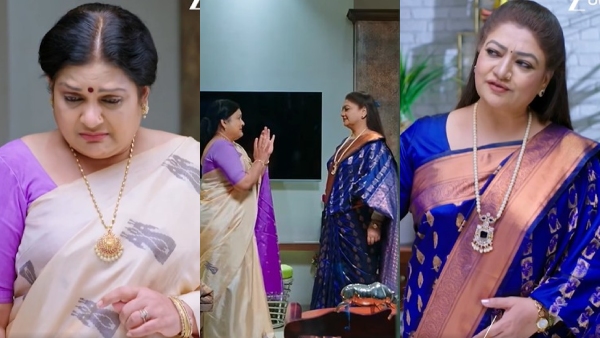 amruthadhaare-serial-july-31-episode-written-update