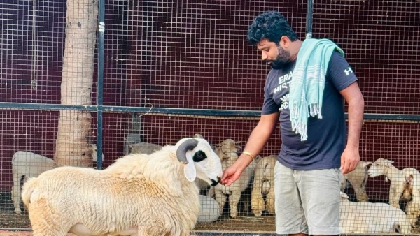 director-prem-files-complaint-in-bizarre-4-5-lakh-buffalo-scam