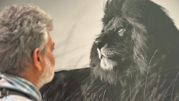 Rajamouli Promises SSMB29 First Look in November as Mahesh Babu Turns 50