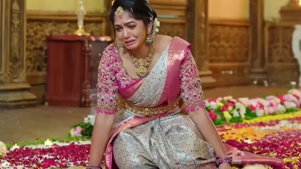 trp-king-amruthadhaare-dethrones-rivals-claims-1-spot-in-kannada-tv-ratings-see-the-full-serial